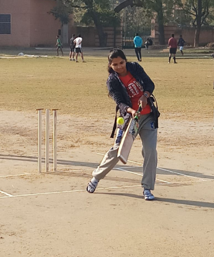 Cricket