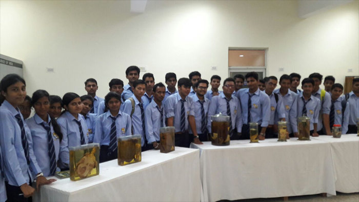 Educational visit of B.Sc student CBZ 1st year at Zoological survey of India
